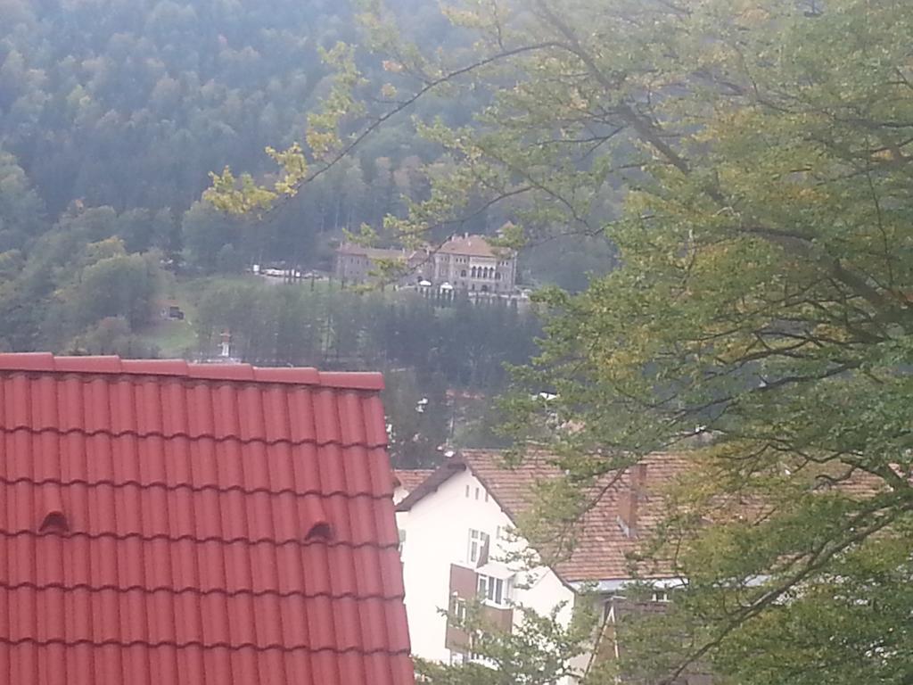 Apartament Kalinderu K1 Buşteni Quarto foto